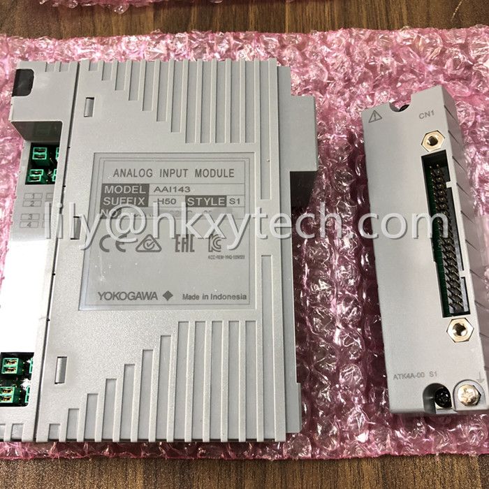IN STOCK Yokogawa AAI143-H50/K4A00 Analog Input Module 100% Original Brand Bew 