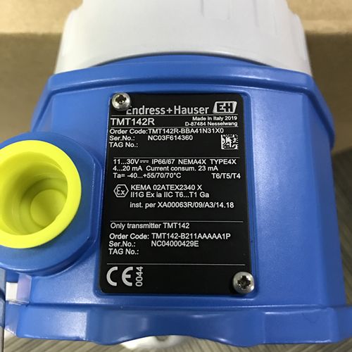 Endress Hauser TMT142R-BBA41N31X0 (2)_副本